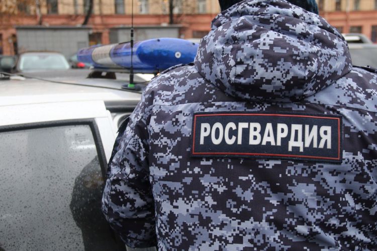Сотрудники Росгвардии в Кировском районе Петербурга задержали посетителя кафе, который нанес телесные повреждения мужчине