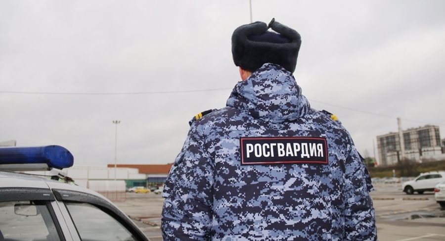 В двух районах Санкт-Петербурга нарядами ОВО задержаны правонарушители, совершившие кражи из магазинов