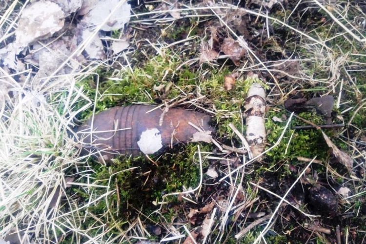 Взрывотехники ОМОН обезвредили боеприпасы времён войны, обнаруженные в Приморском районе