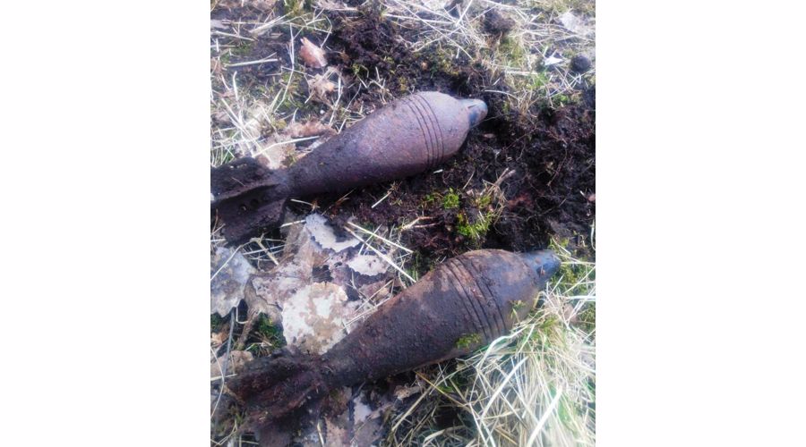 Взрывотехники ОМОН обезвредили боеприпасы времён войны, обнаруженные в Приморском районе