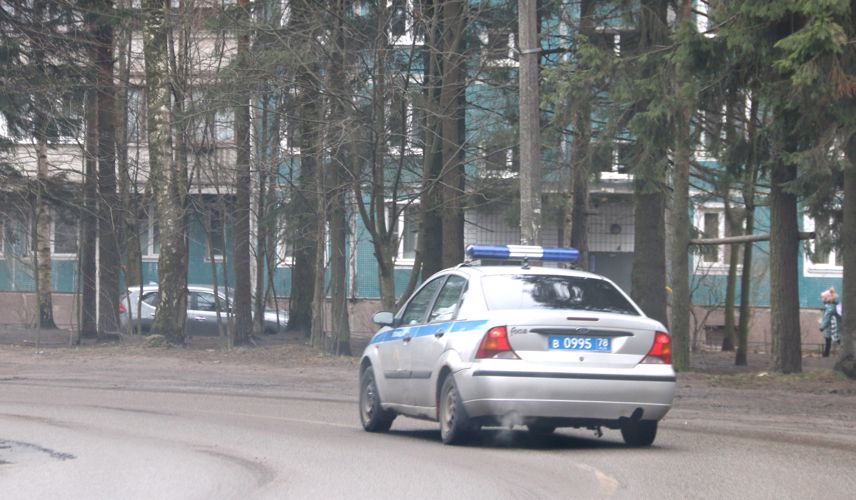 В Пушкине наряд вневедомственной охраны задержал хулигана, повредившего автомобиль на парковке магазина