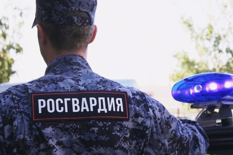 В Красногвардейском районе нарядом вневедомственной охраны задержан хулиган, разбивший монтировкой окно квартиры