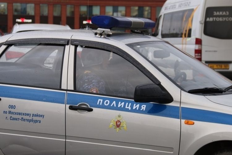 В Московском районе сотрудники Росгвардии задержали правонарушителей, совершивших кражу металлоконструкций