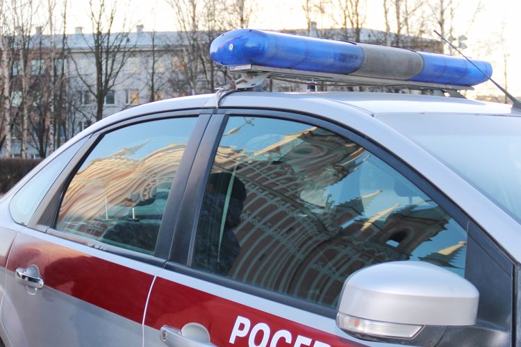 В Калининском районе сотрудники Росгвардии задержали правонарушителя, совершившего кражу в строительном магазине