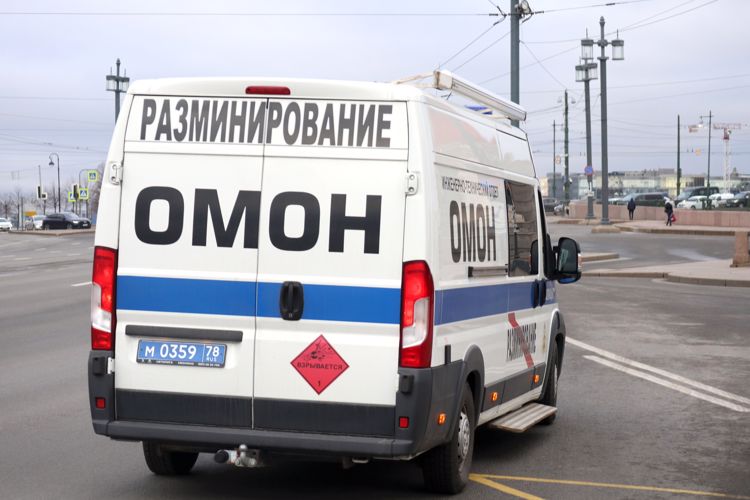 Сотрудники ОМОН обезвредили боеприпас времён войны, обнаруженный в деревне Старо-Паново