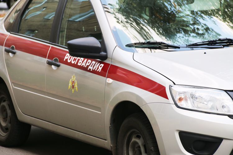 В Петергофе сотрудники Росгвардии задержали нарушителя внутриобъектового режима государственного музея-заповедника