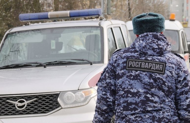 В Зеленогорске сотрудники Росгвардии задержали нетрезвого водителя, пытавшегося скрыться с места ДТП