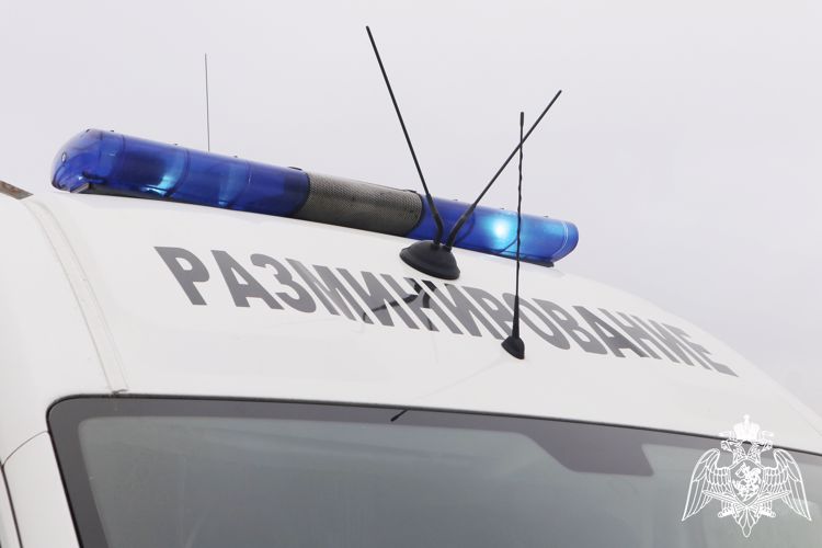 Взрывотехники ОМОН Росгвардии обезвредили боеприпас времен войны, обнаруженный в Колпино