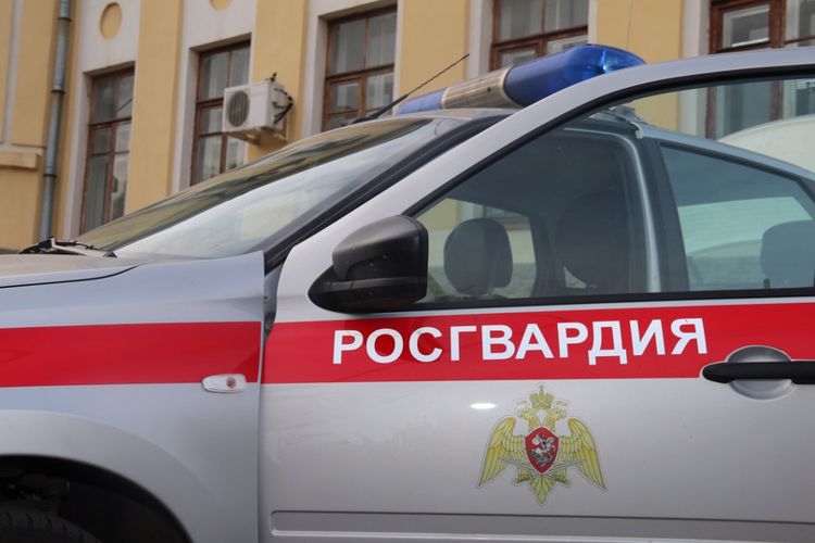Сотрудники Росгвардии задержали правонарушителей, которые нанесли побои мужчинам
