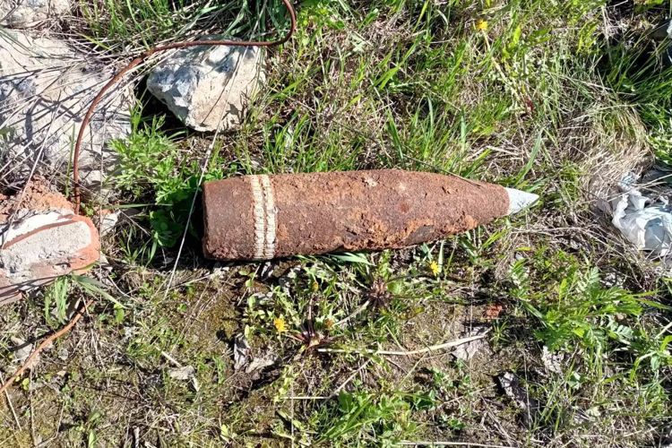 В Санкт-Петербурге и Ленобласти взрывотехники ОМОН Росгвардии обследовали боеприпасы времен войны