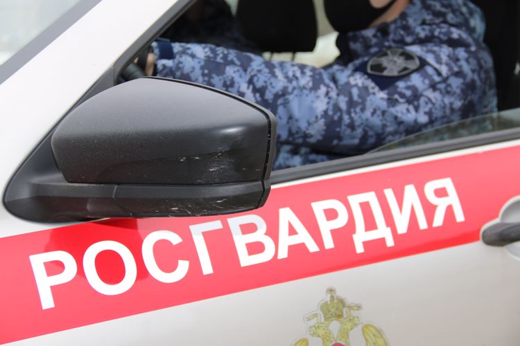 В Ленинградской области сотрудники вневедомственной охраны задержали двух рецидивистов, совершивших кражу кабеля