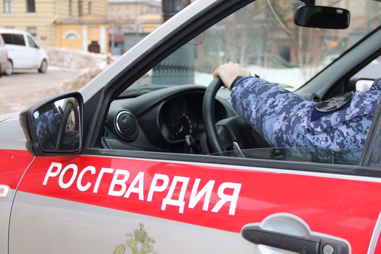 В Кировском районе наряд вневедомственной охраны задержал двух посетителей торгового центра, похитивших товары