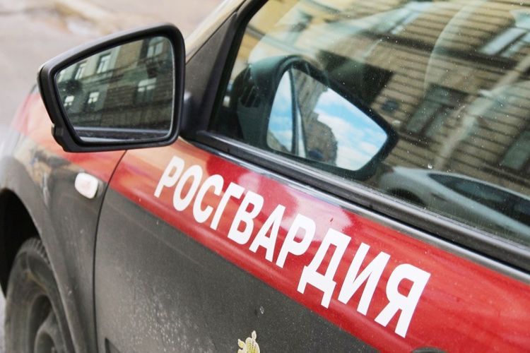 В Выборге наряд вневедомственной охраны задержал разыскиваемого правонарушителя, повредившего припаркованную иномарку