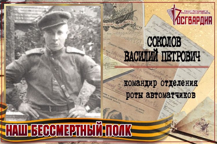 «НАШ БЕССМЕРТНЫЙ ПОЛК». Василий Петрович Соколов