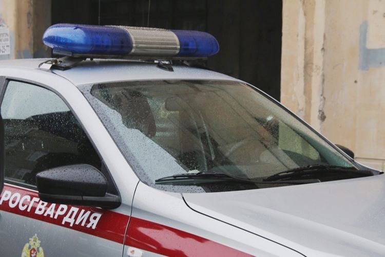 В Московском районе наряд вневедомственной охраны задержал правонарушителя, угрожавшего расправой работнику по вывозу мусора