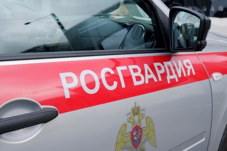 В Выборгском районе наряд вневедомственной охраны задержал двух ранее судимых граждан, совершивших кражу в магазине