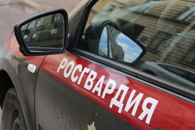В Красногвардейском районе наряд Росгвардии задержал правонарушителя, угрожавшего ножом работнику фотоателье