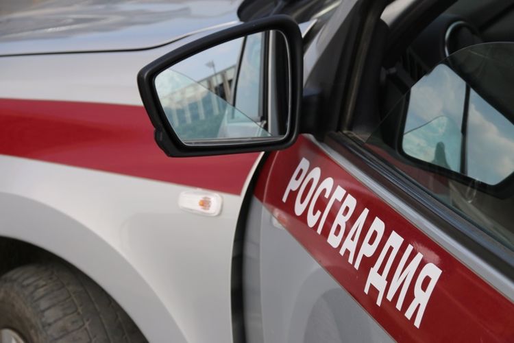В Выборгском районе наряд вневедомственной охраны задержал правонарушителей, похитивших товары из двух соседних магазинов