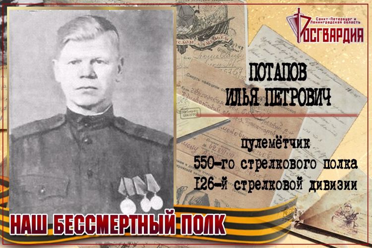 «НАШ БЕССМЕРТНЫЙ ПОЛК». ИЛЬЯ ПЕТРОВИЧ ПОТАПОВ