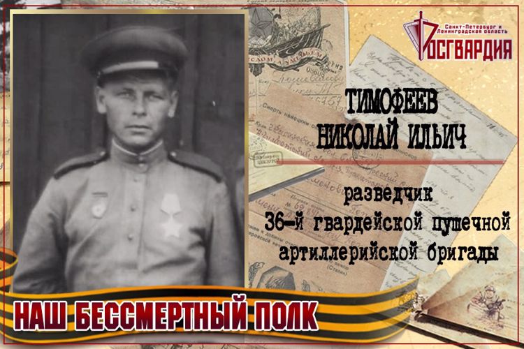 «НАШ БЕССМЕРТНЫЙ ПОЛК». НИКОЛАЙ ИЛЬИЧ ТИМОФЕЕВ