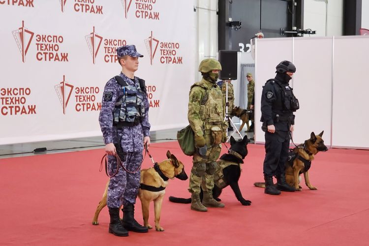 На выставке "ЭКСПОТЕХНОСТРАЖ. День передовых технологий" кинологи Росгвардии показали свои навыки и возможности работы со служебными собаками