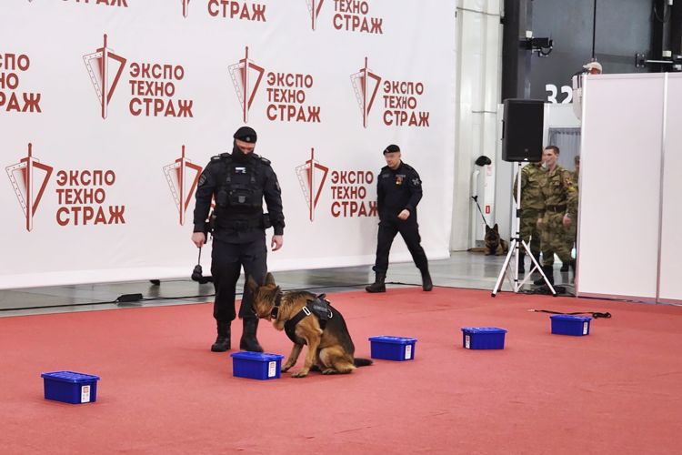 На выставке "ЭКСПОТЕХНОСТРАЖ. День передовых технологий" кинологи Росгвардии показали свои навыки и возможности работы со служебными собаками