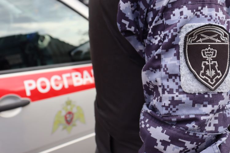 В Приморском районе наряд вневедомственной охраны задержал правонарушителей, которые вывезли из магазина тележку с товарами, не заплатив за них