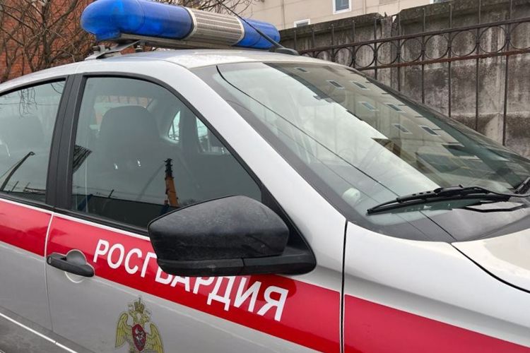 Наряд вневедомственной охраны задержал гражданина, угрожавшего ножом жителю дома на улице Стойкости