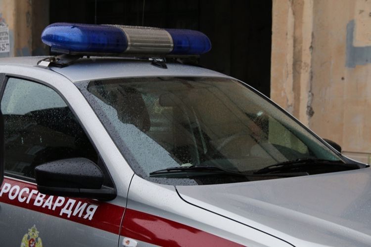 В Выборгском районе Петербурга росгвардейцы по подозрению в краже задержали посетителя спортивного гипермаркета