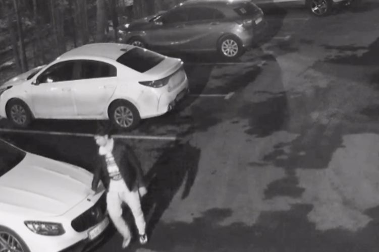 В Адмиралтейском районе наряд вневедомственной охраны задержал хулигана, громившего припаркованные машины