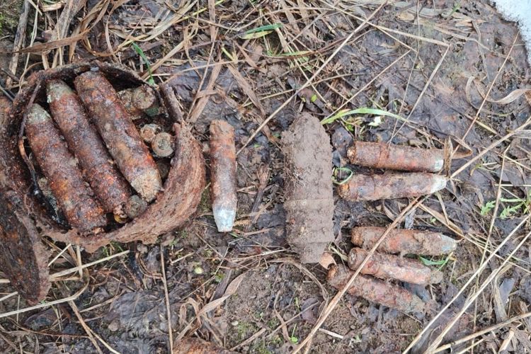 В Кингисеппском районе взрывотехники ОМОН Росгвардии обследовали немецкие боеприпасы времён войны