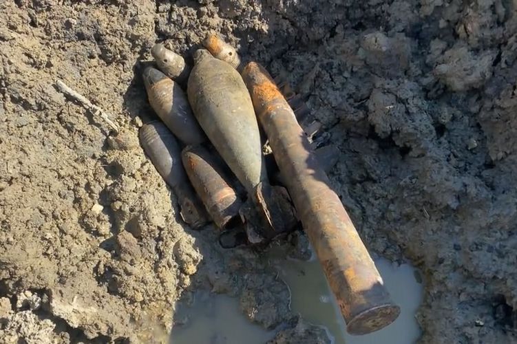 Взрывотехники ОМОН Росгвардии на полигоне в Ленобласти уничтожили боеприпасы времен Великой Отечественной войны