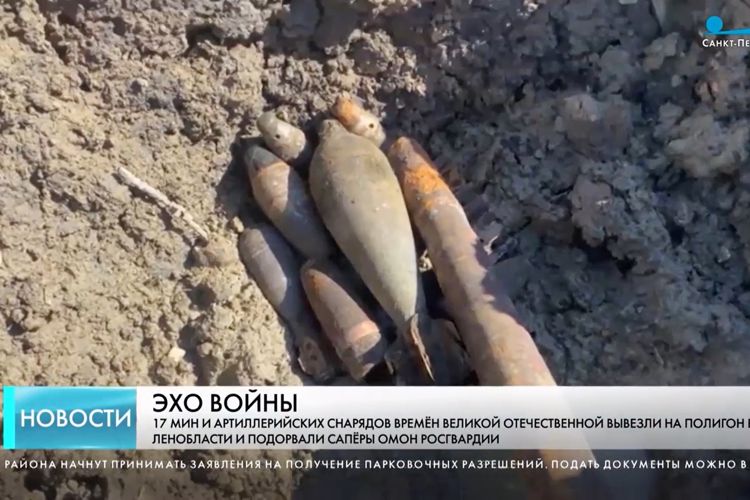 Телесюжет программы "Новости Петербурга: Итоги дня" (ТК "Санкт-Петербург") 