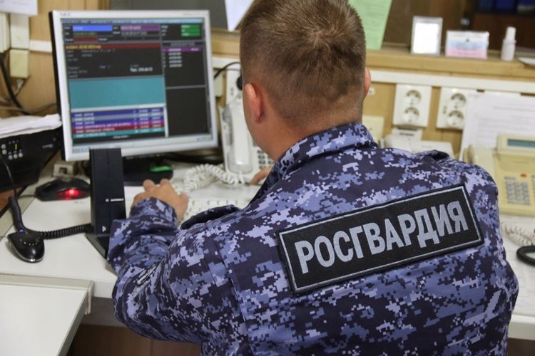 В Московском районе сотрудники Росгвардии задержали хулигана, повредившего имущество бизнес-центра