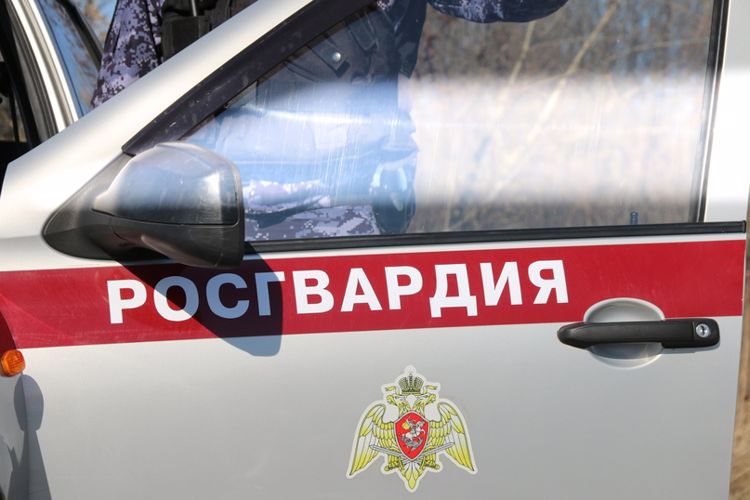 Во Фрунзенском районе сотрудники Росгвардии задержали правонарушителей, похитивших смартфон у прохожего