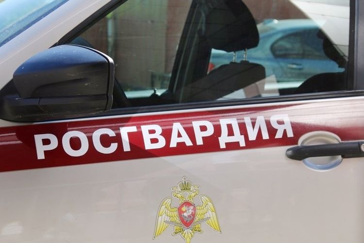 В Колпино сотрудники Росгвардии задержали правонарушителя, проникшего в квартиру местной жительницы и совершившего поджог