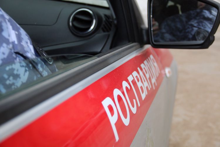 В Приморском районе сотрудники Росгвардии задержали гражданина, избившего водителя скорой помощи