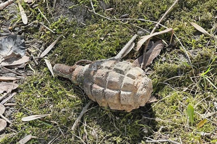 Сотрудники ОМОН Росгвардии обследовали боеприпасы времен войны, обнаруженные на территории Петербурга и Ленобласти