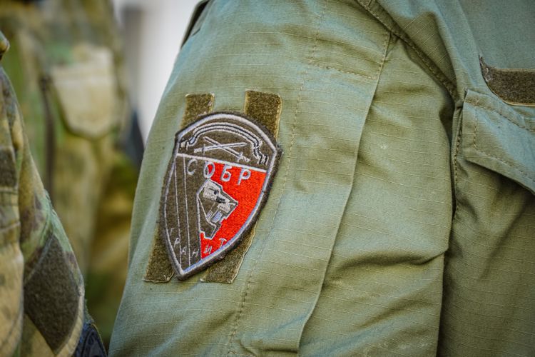 В Санкт-Петербурге совет краповых беретов обсудил поддержку участников СВО