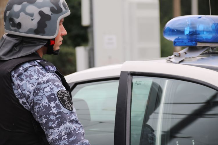 В Красногвардейском районе наряд вневедомственной охраны задержал хулигана, устроившего погром в торговом павильоне