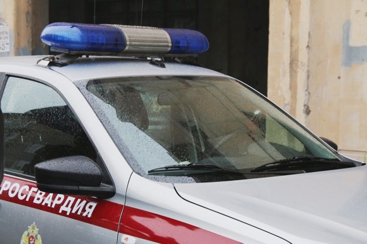 В Выборгском районе сотрудники вневедомственной охраны задержали хулигана, разбившего стекло в припаркованном автомобиле