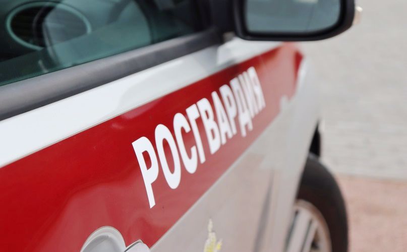 В Красносельском районе сотрудники Росгвардии обнаружили 13-летнюю девочку, ранее самовольно ушедшую из детского центра