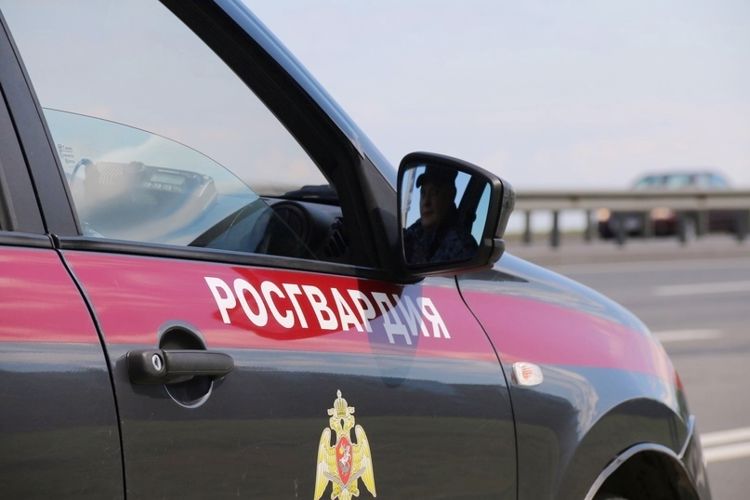 Во Всеволожске росгвардейцы задержали водителя иномарки, в очередной раз севшего за руль нетрезвым