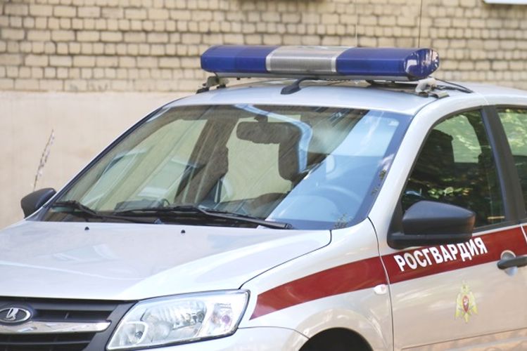 Во Фрунзенском районе сотрудники Росгвардии задержали за кражу гражданина, находящегося под административным надзором