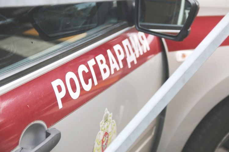 В Адмиралтейском районе сотрудники Росгвардии задержали подозреваемого в нанесении ножевых ранений посетителю ресторана