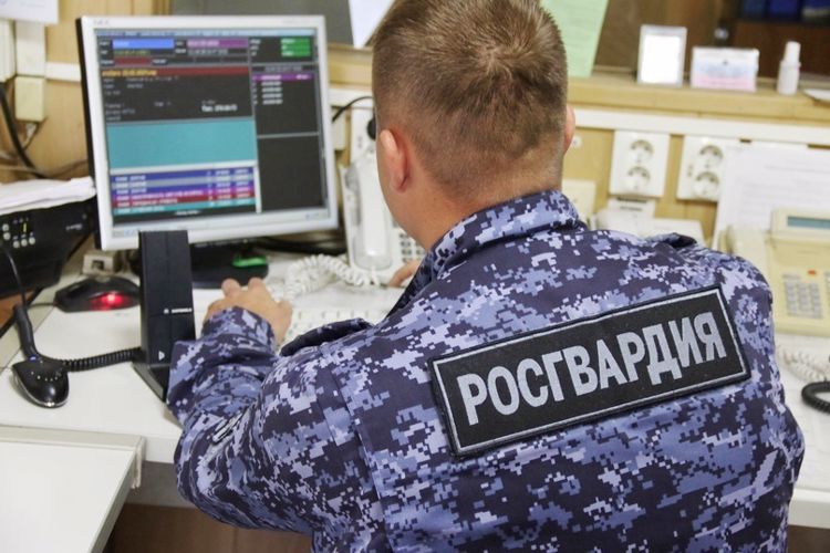 В поселке Шушары наряд вневедомственной охраны задержал посетителя магазина, совершившего кражу
