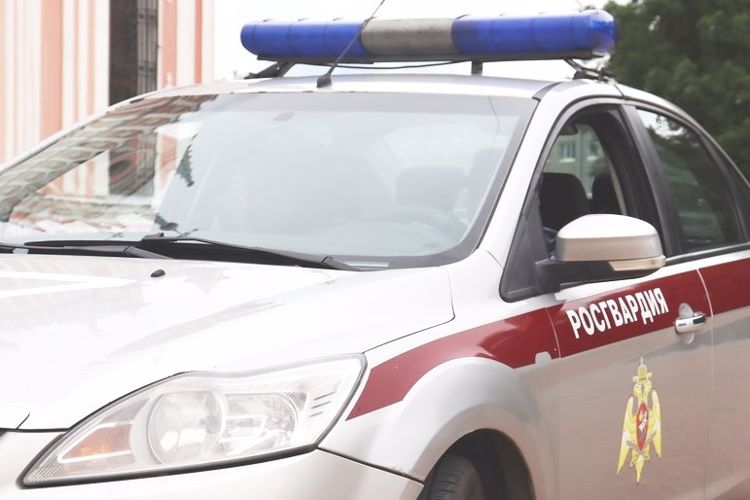 В Кировском районе сотрудники вневедомственной охраны задержали правонарушителя, похитившего кошелек у посетителя бара
