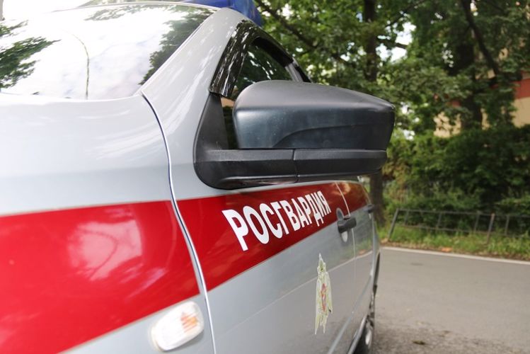 В Петербурге сотрудники вневедомственной охраны в течение суток задержали троих разыскиваемых правонарушителей