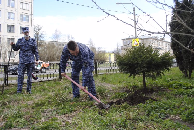 В Санкт-Петербурге сотрудники Росгвардии присоединились к акции «Сирень Победы»