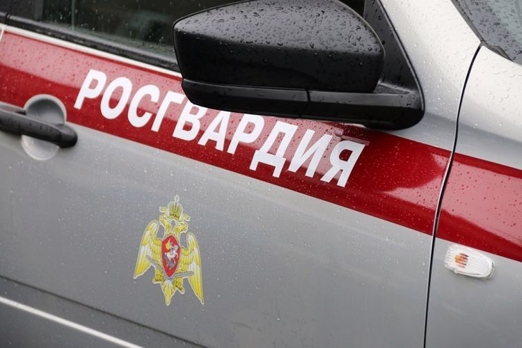В Кингисеппе сотрудники Росгвардии задержали нетрезвого гражданина, пытавшегося продать патроны к мелкокалиберной винтовке